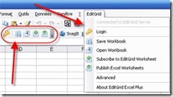editgrid_excel2
