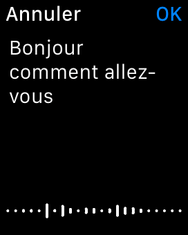 itranslate apple watch