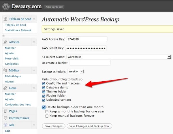 automatic-wordPress backup
