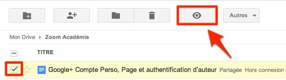 google-drive-apercu-documents-descary-3