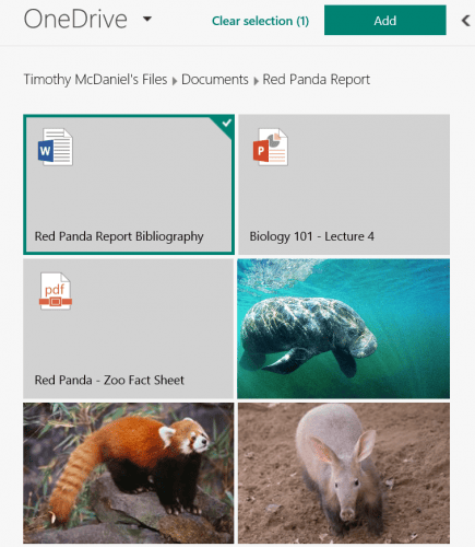 microsoft sway ajouter document office